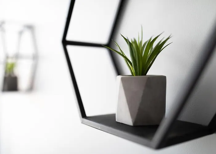 R&b 公寓 扎达尔